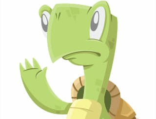 Turtle approach 2 5 20 2