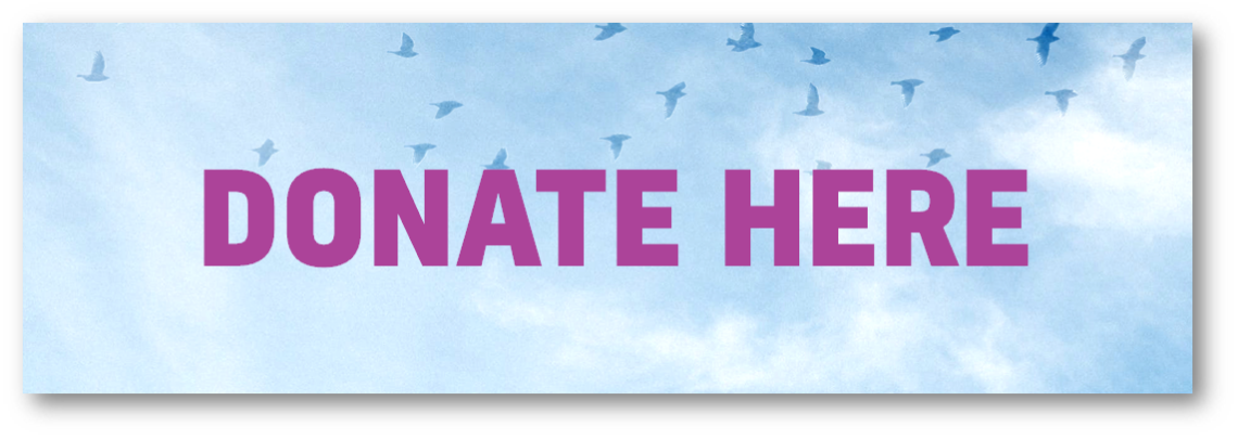Donate button for website
