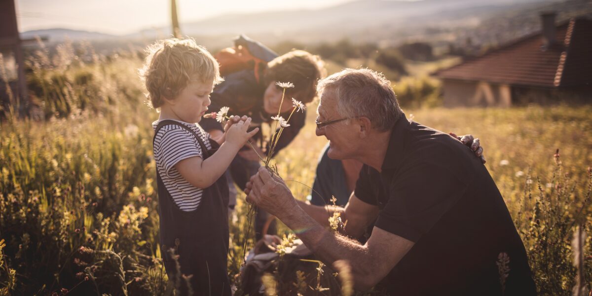 Bequest | Leave a Gift in your Will 1 Safewill web page