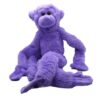 Spider Monkey Spider Monkey