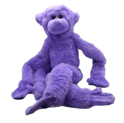Spider Monkey Spider Monkey
